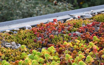 the cost of Great Wigborough green roof installation
